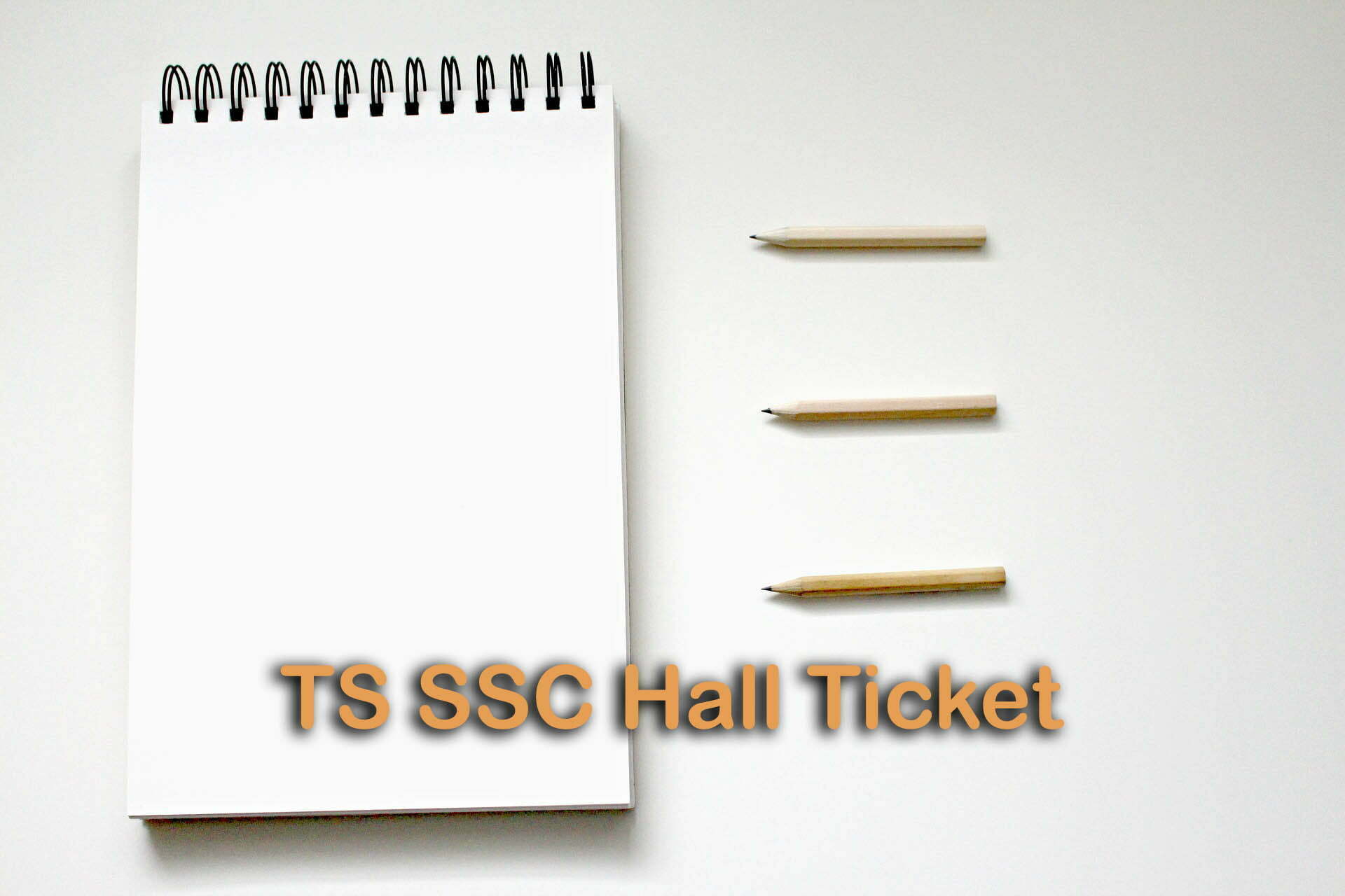 Ts Ssc Hall Ticket 2020 Download Bse Telangana Hall Tickets 2020